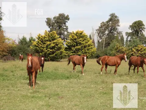 Terreno en Venta de 1008,0 m2