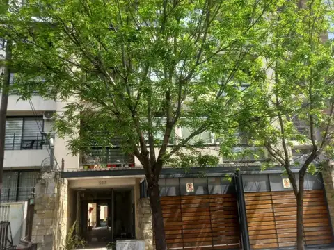 Aristóbulo Del Valle 553 , Piso 1