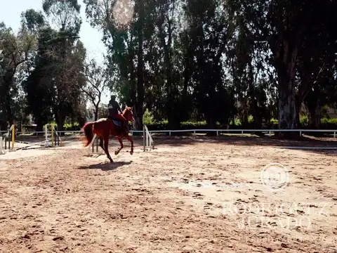 Lote Interno Con Plano En Venta Haras Santa Maria