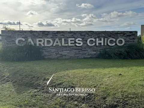Terreno en  CARDALES CHICO