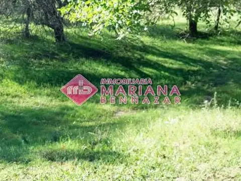 CAMPO - VUELTA DE OBLIGADO - SAN PEDRO