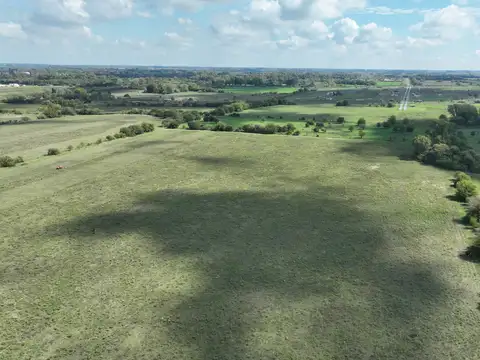 Campo en Venta de 100  ha