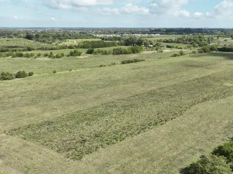 Campo en Venta de 100  ha