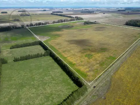 Campo en arrendamiento en Mar Chiquita | 40 hectareas