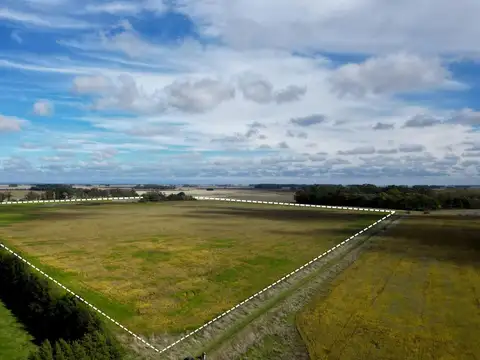 Campo en arrendamiento en Mar Chiquita | 40 hectáreas