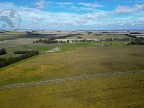 Campo en arrendamiento en Mar Chiquita | 40 hectareas