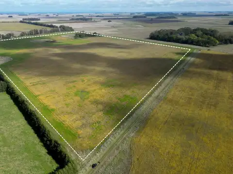 Campo en arrendamiento en Mar Chiquita | 40 hectáreas
