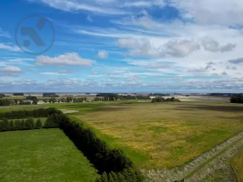 Campo en arrendamiento en Mar Chiquita | 40 hectareas