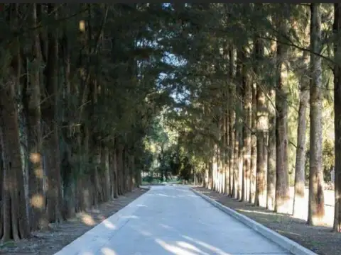 Terreno en Venta de 600,0 m2