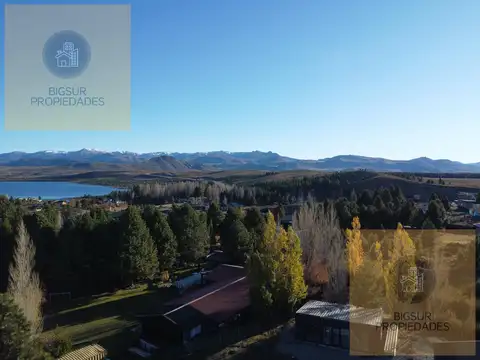 girasoles del limay 300