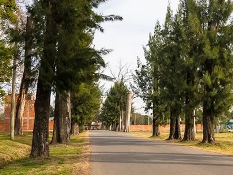 Av Presidente Peron Pilar Ruta 200