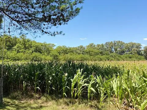 CHACRA EN VENTA EN BRAGADO