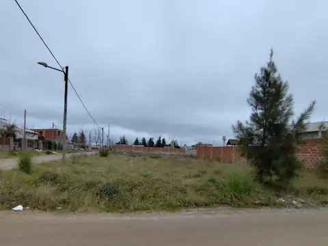 Terreno - Venta - Argentina, Cañuelas - MOCOVIES 300