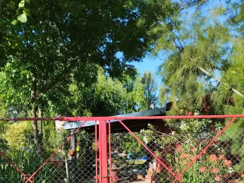 Mistral (1 en google) 3600