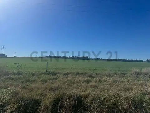 VENDEMOS FRACCION DE CAMPO AGRICOLA DE 40 HAS.