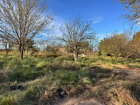 Avenida Uruguay