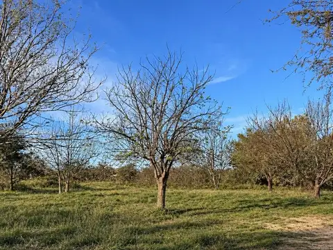 Terreno en Alcorta y Av. Uruguay