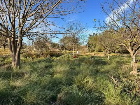 Terreno en Venta de 663,0 m2