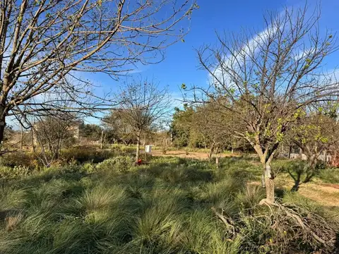 Terreno en Alcorta y Av. Uruguay