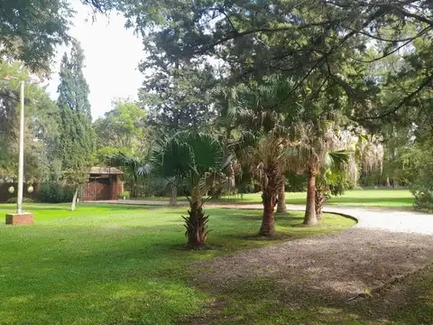 VENTA LOTE IDEAL EMPRENDIMIENTO 44.100M2 EXALTACIO