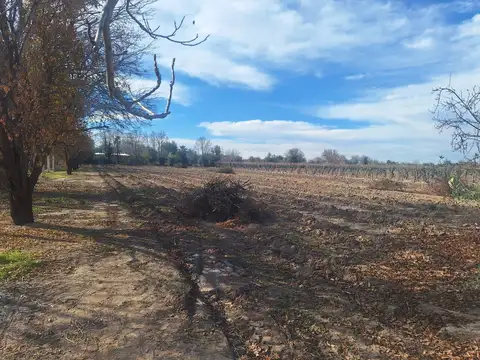 VENTA DE TERRENO, BUEN ORDEN, SAN MARTIN