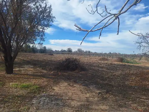 VENTA DE TERRENO, BUEN ORDEN, SAN MARTIN