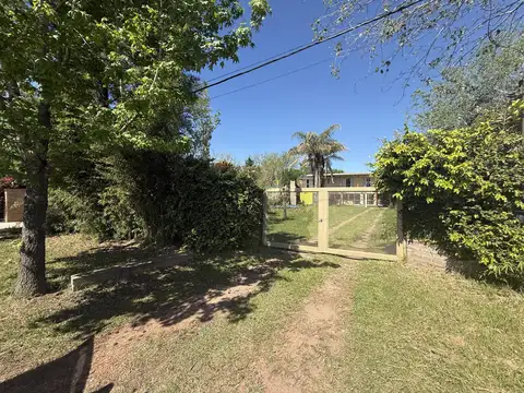 Calle  n°15 al 600