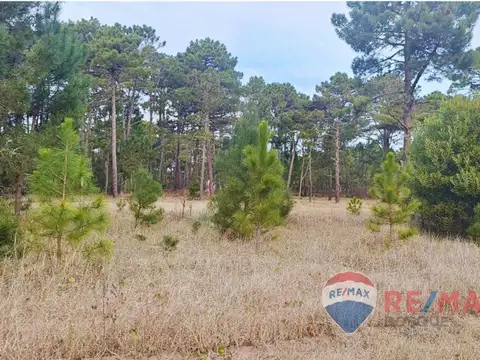 Terreno en Venta en Pinamar Norte, USD 115.000