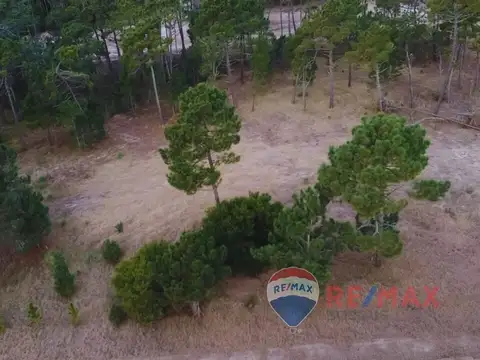 Lote Venta Pinamar Barrio Bosques Norte Privado