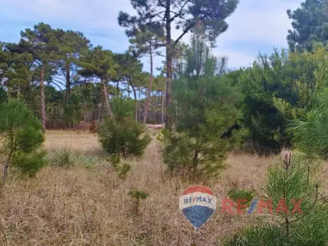 Terreno en Venta en Pinamar Norte, USD 115.000