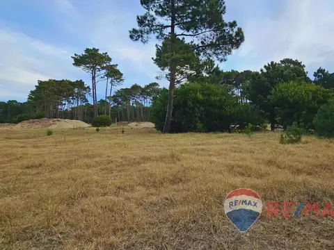 Terreno en Venta de 1110,0 m2