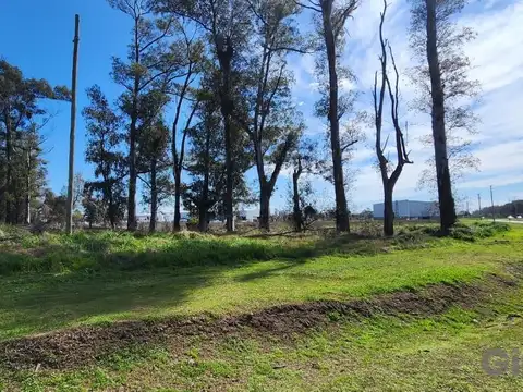Terreno en Venta 155  mts Fondo