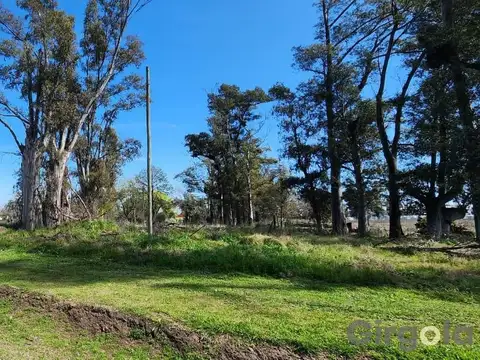 Terreno en Venta 155  mts Fondo