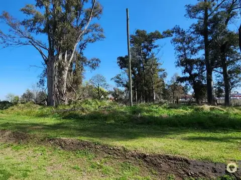 Lote en el Polo Industrial de General 100