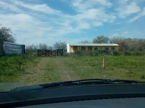 Campo en El Pino
