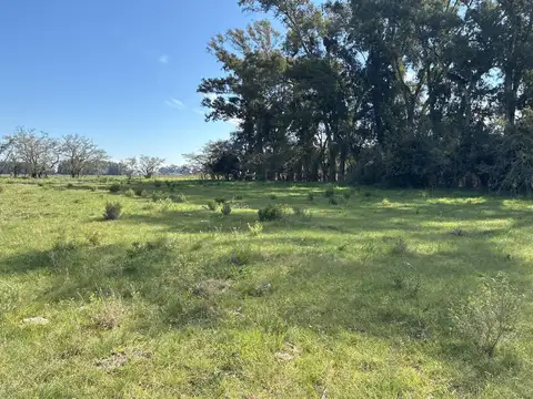 Campo en El Pino