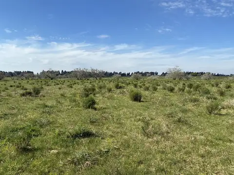 Ruta 11 Paraje El Pino