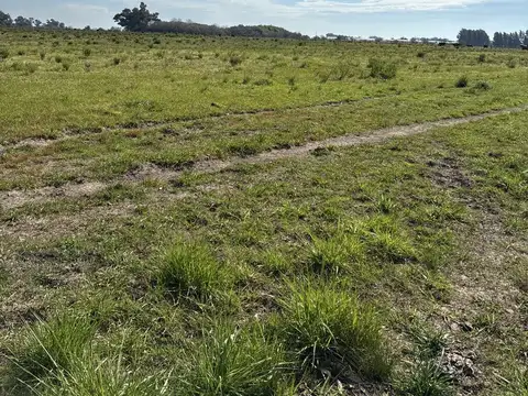 Campo en El Pino