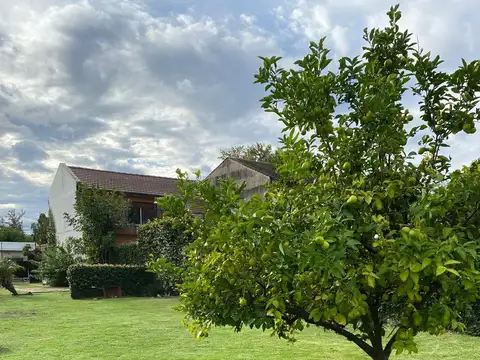 Terreno en Venta 51  mts Fondo