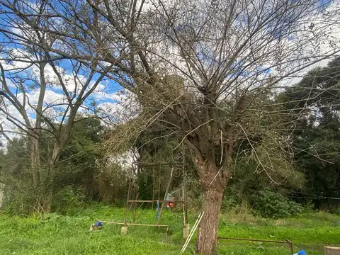 CAMPO EN VENTA CORONEL BRANDSEN