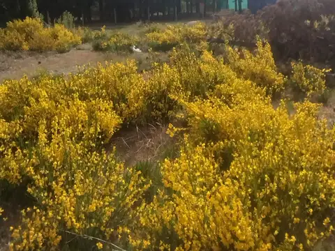 Venta Lote en Dina Huapi