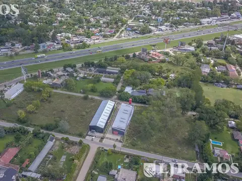 Ambrosetti , Del Viso