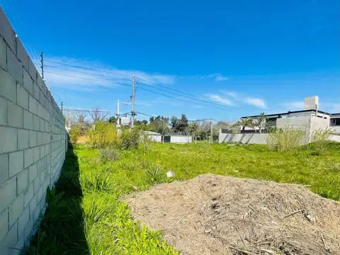 Ntra Sra del Pilar Juan Hipolito Vieytes 100