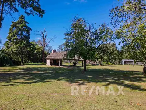 Waldo de los Ríos 100