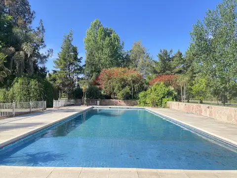 ¡Sumérgete en el apasionante mundo de La Federala!