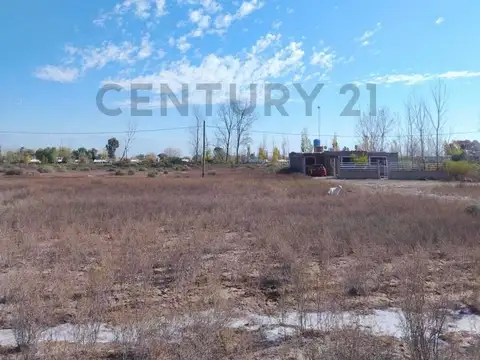 VENTA TERRENO, JOCOLI VIEJO, LAVALLE, MENDOZA