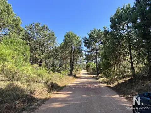 Terreno en venta en La Barra, rodeado de bellos bosques.