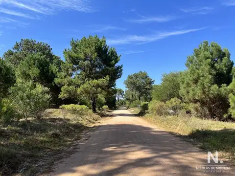 Terreno en Venta 29  mts Frente