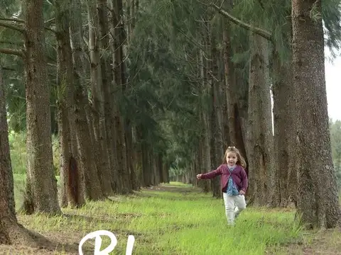 Terreno en Venta, FOT 1