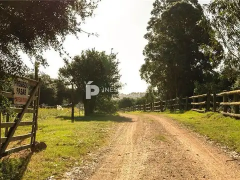 PROPIEDADES RURALES - CHACRA - PUNTA BALLENA
